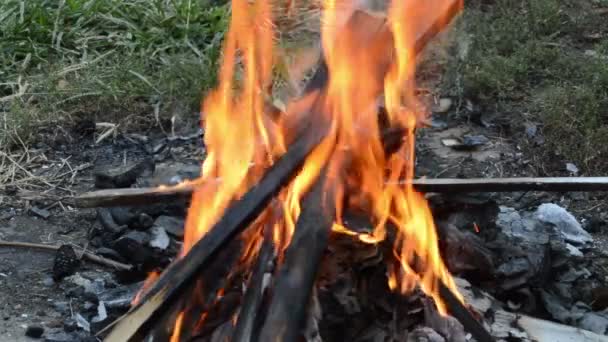 壁炉里的火焰 — 图库视频影像