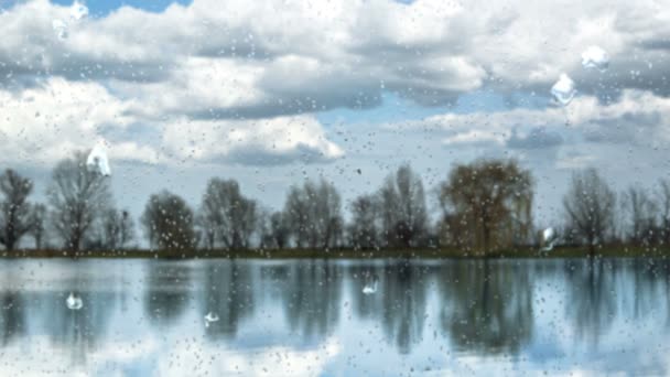 Gotas Lluvia Espejo — Vídeo de stock