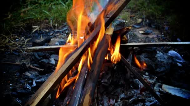 Llama Una Chimenea — Vídeos de Stock