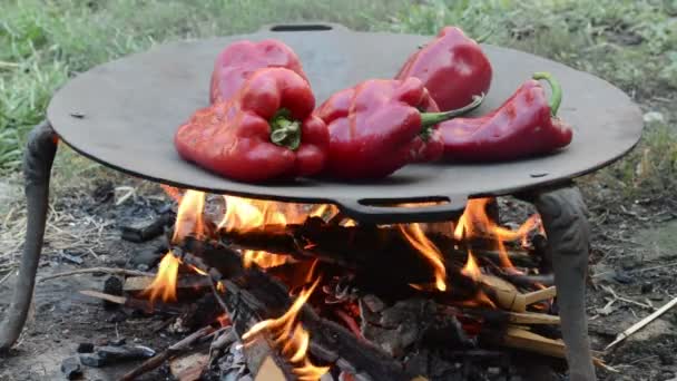 Peperoni Rossi Arrosto Sul Barbecue — Video Stock