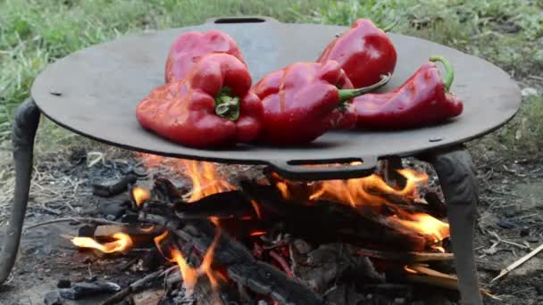 Peperoni Rossi Arrosto Sul Barbecue — Video Stock