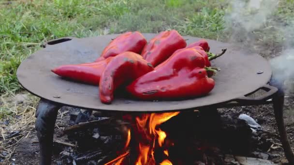 Peperoni Rossi Arrosto Sul Barbecue — Video Stock