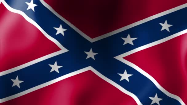 Confederate Flag Waving Flag — Stock Video