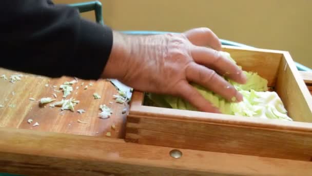 Mãos Homem Cortando Repolho Com Faca Mesa — Vídeo de Stock