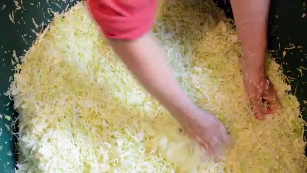 Lahana Salatası Için Karıştırma — Stok video