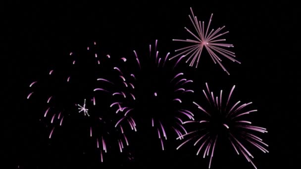 Gyönyörű Rózsaszín Tűzijáték Animáció — Stock videók