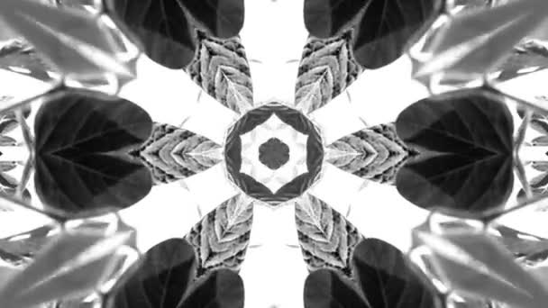 Caleidoscopio Blanco Negro Abstracto — Vídeos de Stock