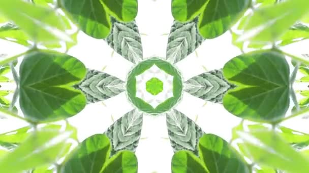 Surreality Abstract Motion Graphics Green Kaleidoscope — Stock Video