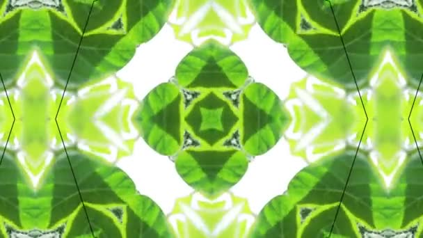 Surreality Abstract Motion Graphics Green Kaleidoscope — Stock Video