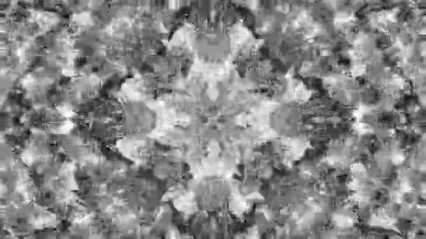 Surreality Abstract Motion Graphics Kaleidoscope Background — Stock Video