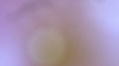 Çok renkli ışık sızıntıları dizi. Düzenleme için iyi