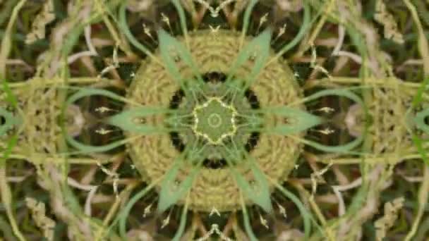 Absztrakt Mozgógrafika Zöld Kaleidoszkóp — Stock videók