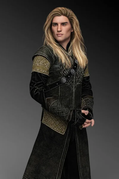 Handsome Fantasy Male Prince Long Blonde Hair Leather Armor — Stock Photo, Image
