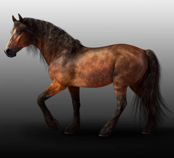 Cgi Bay Španělské Koně Dlouhou Hřívou Ocasem — Stock fotografie