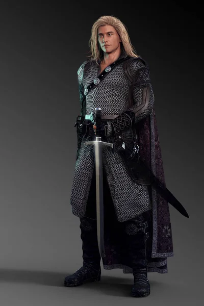 Красивый Мужчина Рыцарь Воин Средневековый Эльф Mail Surcote — стоковое фото