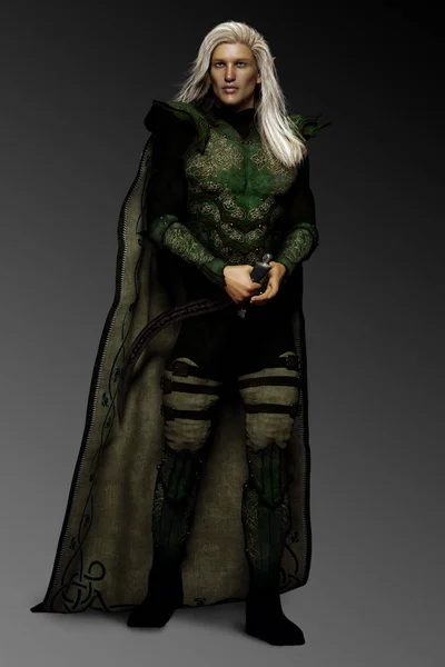 Elvish Prince Green Armor Long Silver Hair — Stock Photo, Image