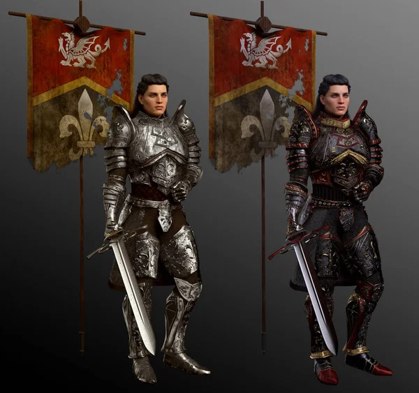 中世纪幻想骑士与旗帜 两个版本 — 图库照片