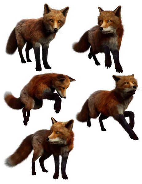 Fantasy Red Foxes in Action Poses, CGI Render