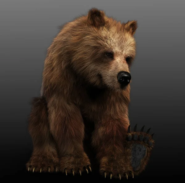 Grizzlybjörn Eller Brunbjörn Cgi Render — Stockfoto