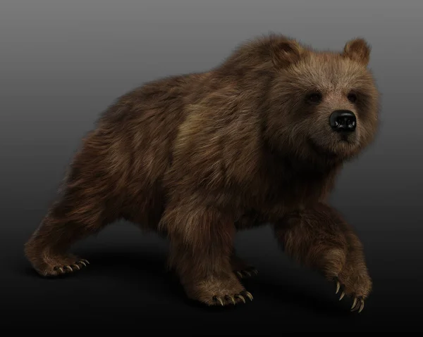 Grizzly Bear Brown Bear Cgi Render — Stock Photo, Image