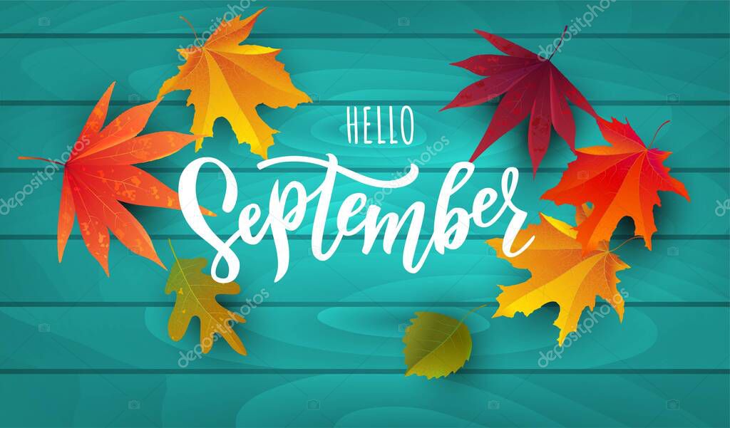 September text. Lettering typography. Vector illustration as poster, postcard, greeting card, invitation template. Concept September advertising