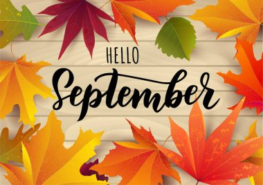 Eylül mesajı. Harf tipografisi. Eylül reklamı kavramı