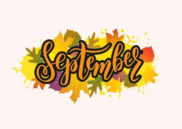 Hand Sketched September Text Lettering Typography Vector Illustration — Stock Vector