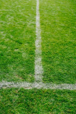 Ot ve işaretleri futbol ya da futbol alanında 2018 yılına kadar yakın