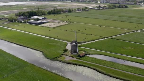 Mill Câmpurile Din Olanda Agricultura Lume Creşterea Bovinelor Mill Lângă — Videoclip de stoc