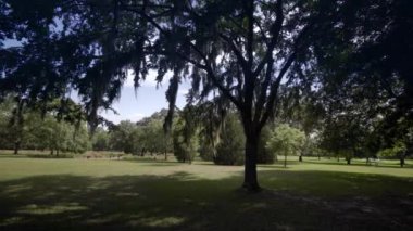 Brookgreen Gardens, Myrtle Beach, Güney Carolina, ABD, Temmuz 2016 dev oaks