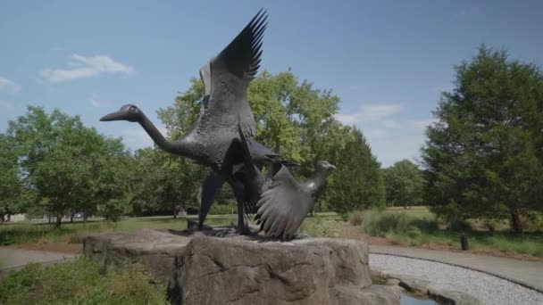 Skulptur Heron Skogshöns Och Loon Elliot Offner Brookgreen Gardens Myrtle — Stockvideo