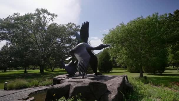 Heykel Heron Orman Tavuğu Loon Elliot Offner Brookgreen Gardens Myrtle — Stok video