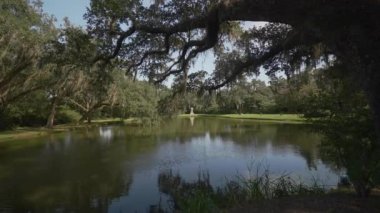 Brookgreen Gardens, Myrtle Beach, Güney Carolina, ABD, Temmuz 2016 dev oaks