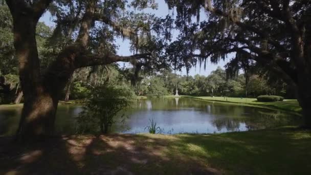 Olbrzymie Dęby Brookgreen Gardens Myrtle Beach Karolina Południowa Usa Lip — Wideo stockowe