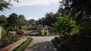 Brookgreen Gardens, Myrtle Beach, Güney Carolina, ABD, Temmuz 2016 dev oaks