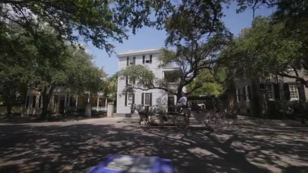 Los Turistas Disfrutan Carruaje Tirado Por Caballos Histórica Ciudad Charleston — Vídeo de stock