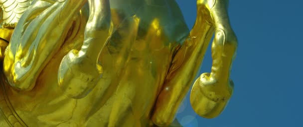 Ağustos Goldener Reiter Altın Şövalye Atlı Heykeli Temmuz 2017 Dresden — Stok video