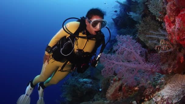 Mergulhador Feminino Nada Recife Coral Colorido Wakatobi Indonésia Novembro 2017 — Vídeo de Stock