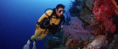 Bir dalgıç (kadın) bir renkli intakt mercan, Wakatobi, Endonezya, Kasım 2017, yavaş moition yüzüyor