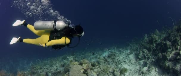 Intakt のカラフルなコーラル リーフ Wakatobi インドネシア 2017 月までの遅い Moition で泳ぐダイバー — ストック動画