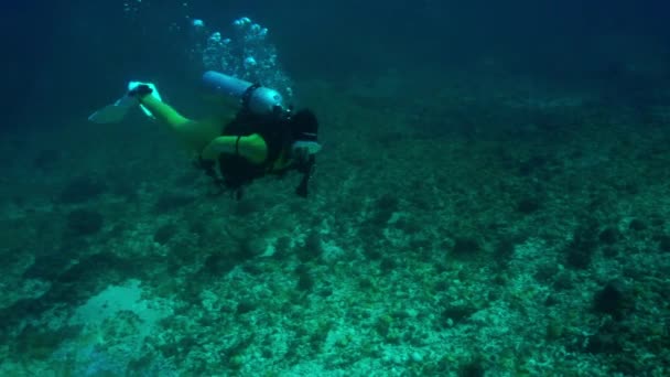 Een Duiker Met Een Onderwater Camera Van Gopro Zwemt Een — Stockvideo