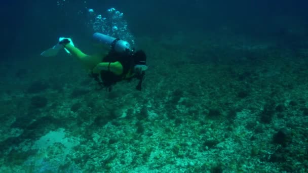 Buzo Con Una Cámara Submarina Gopro Nada Colorido Arrecife Coral — Vídeo de stock