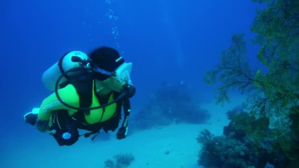 Een Duiker Met Een Onderwater Camera Van Gopro Zwemt Een — Stockvideo