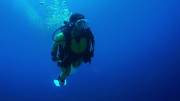 Buzo Con Una Cámara Submarina Gopro Nada Colorido Arrecife Coral — Vídeos de Stock