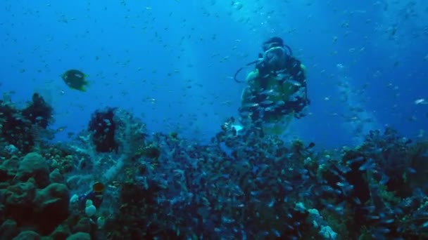 Buzo Con Una Cámara Submarina Gopro Nada Colorido Arrecife Coral — Vídeos de Stock