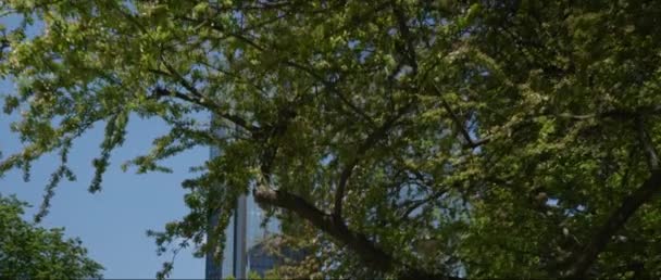 Немецкий Банк Twin Towers Центральном Деловом Районе Франкфурта Майне Германия — стоковое видео