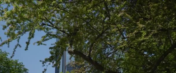Немецкий Банк Twin Towers Центральном Деловом Районе Франкфурта Майне Германия — стоковое видео