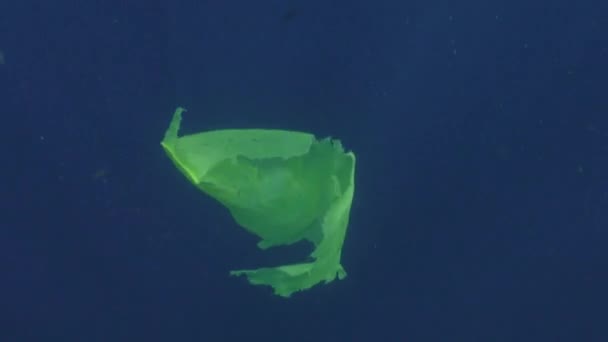 Plastic Bags Floating Sea Aug 2016 — Stock Video