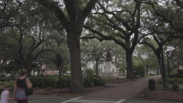 James Oglethorpe Monument Savannah Georgia Sep 2016 — Stockvideo