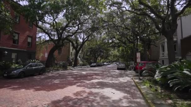 Zabytkowej Dzielnicy Savannah Dębina Pokryte Hiszpańskim Mchem Georgia Usa Wrzesień — Wideo stockowe